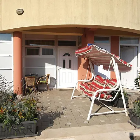 My Dream * 자다르