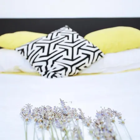 My Dream * 자다르